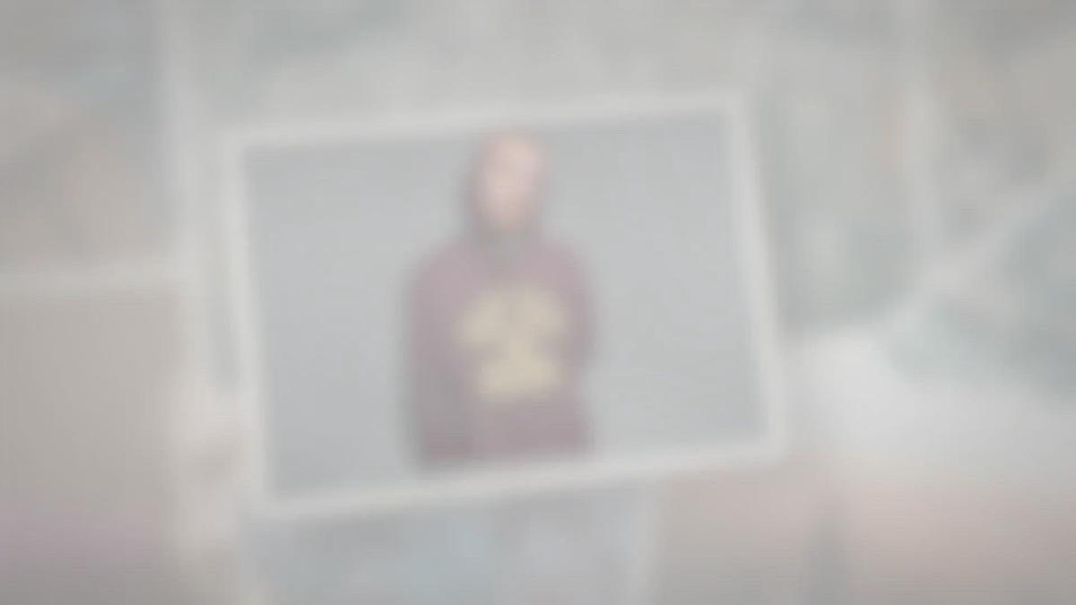 Humix video