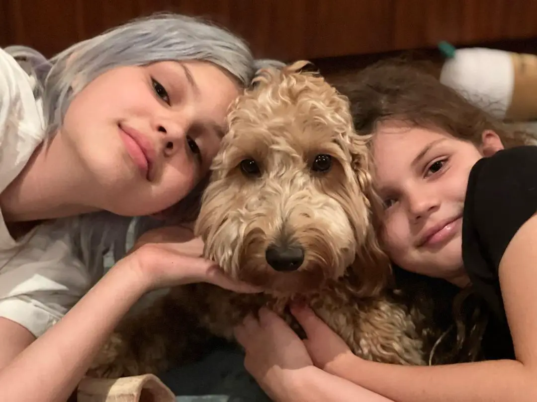 Busy Philipps' daughters, Birdie and Cricket, with their dog Gina.