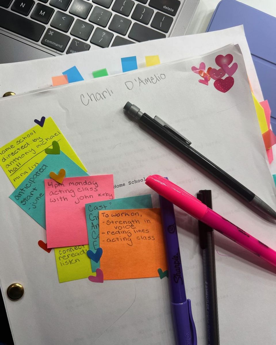 Charli D'Amelio hints about her new acting project 'Home School.' 