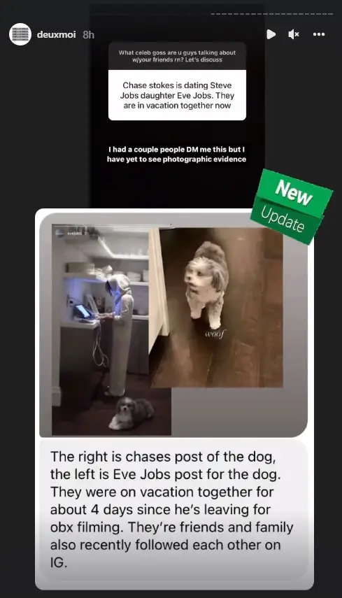 Chase Stokes and Eve Jobs reportedly vacationed together.