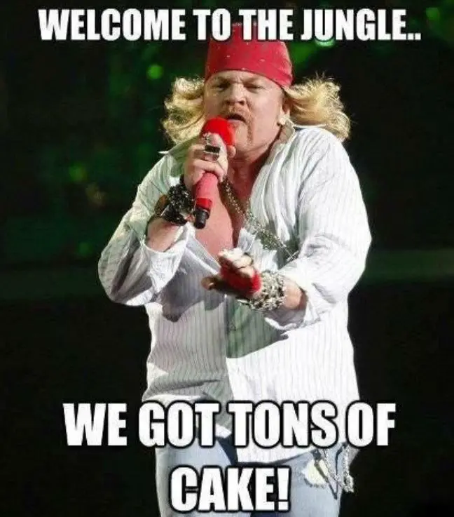 Axl Rose Attempted To Remove His Fat Memes From The Internet