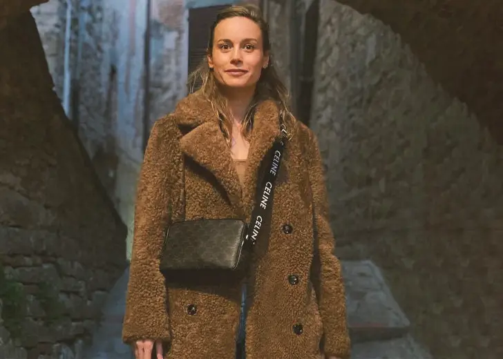 Is-Brie-Larson-Gay