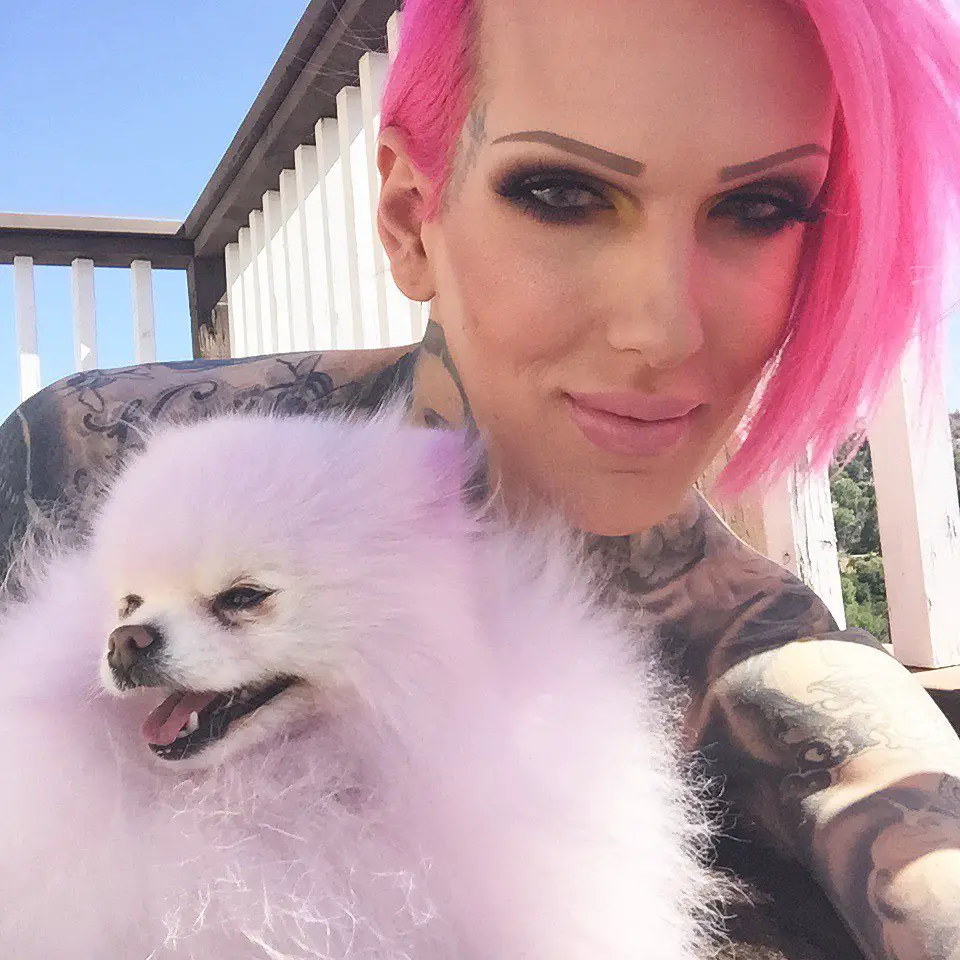 Jeffree Star's Dogs — Meet His Pawmazing Family