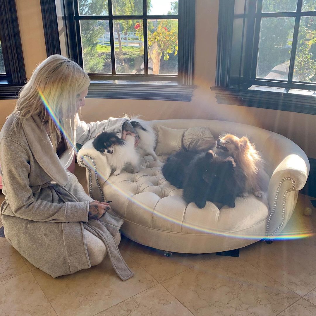 Jeffree Star with his dogs.