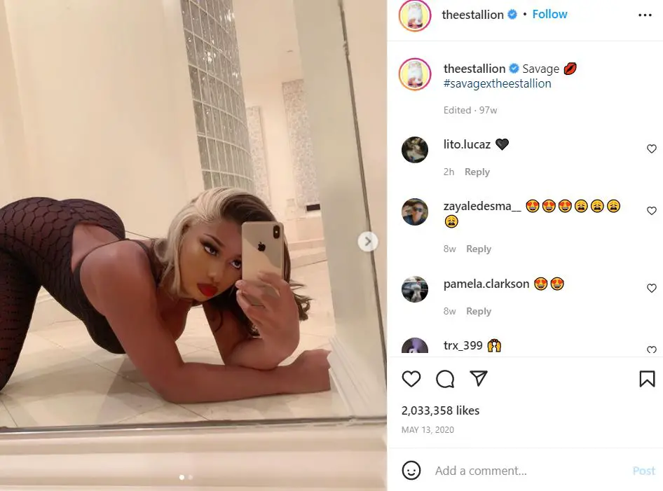 Megan Thee Stallion for Savage X Fenty