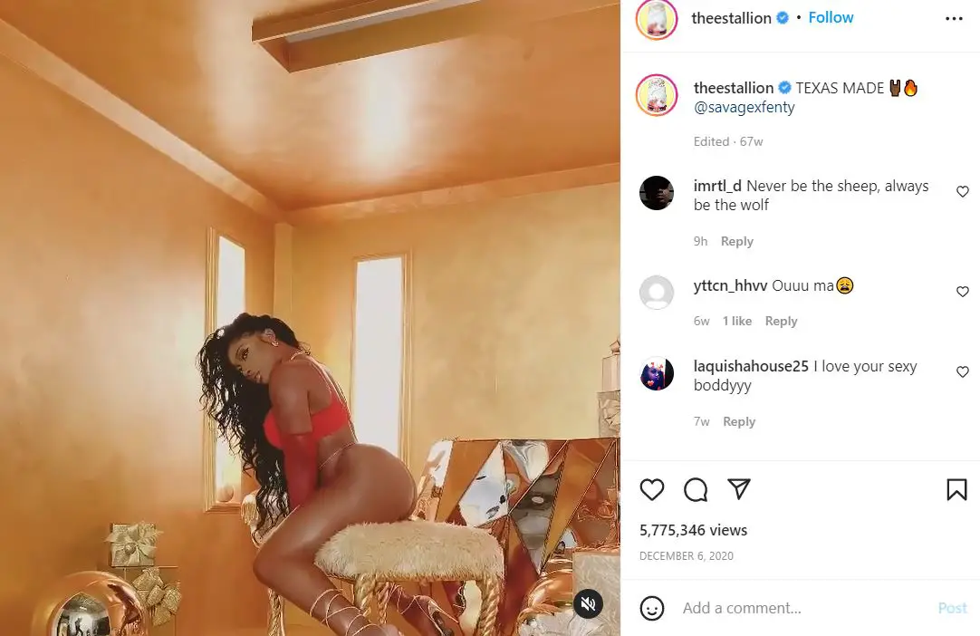 Megan Thee Stallion for Rihanna's Savage X Fenty