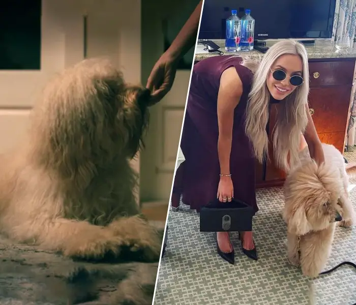 The picture of Matt Kaplan andÃ‚Â Mr. Sexy Zoom Man's pooch named Henry.