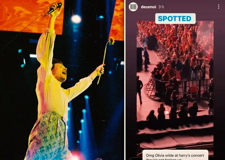 Olivia-Wilde-Spotted-at-Harry-Styles-concert