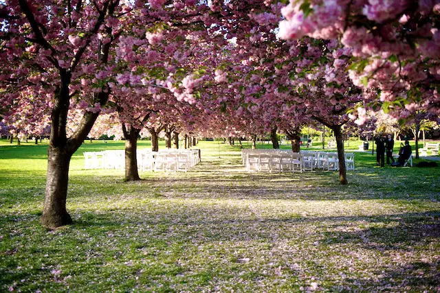 The Brooklyn Botanical Garden set-up for Josh Waitzkin and  Desiree Cifre's Wedding