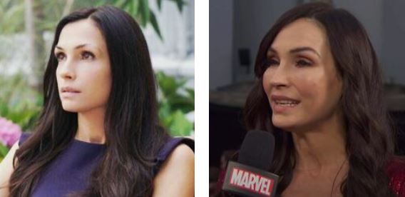 Picture comparing Famke Janssen's face before and after rumored plastic surgery.
