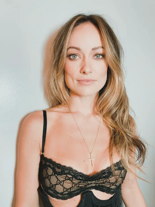 Olivia Wilde, who has been accused of being homophobic and transphobic.