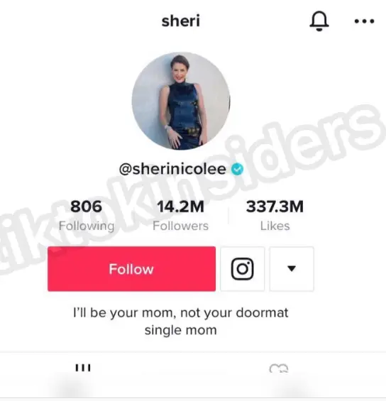 Sheri Nicole changed her bio after her daughter, Addison Rae, unfollowed her 