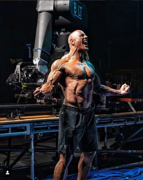 The Rocks Physique The Impact Of Steroids Revealed - lx5jvg1