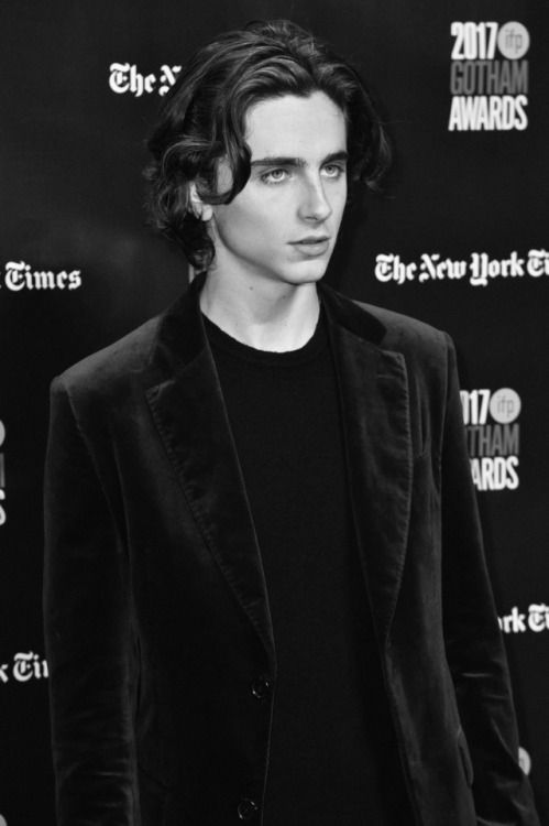 timothee-chalamet-edithsghosts-tumblr