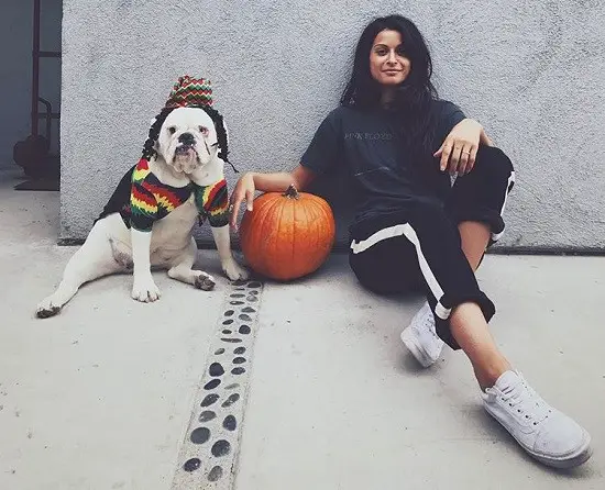 Tyler Hynes posted picture of his alleged girlfriend and dog on Instagram in 2017.